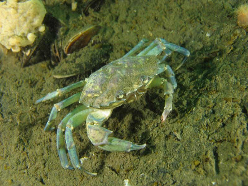 2011-11-13 11-30-49 Ludo.JPG